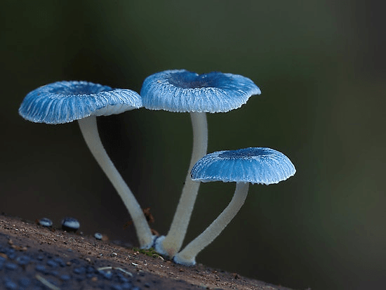 Design System for Human Being